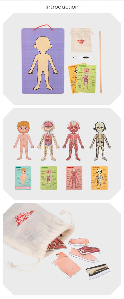 Tooky Toy - Magnetic Body Chart