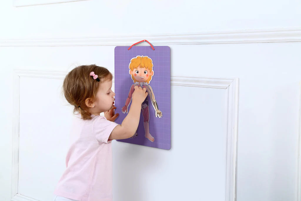 Tooky Toy - Magnetic Body Chart
