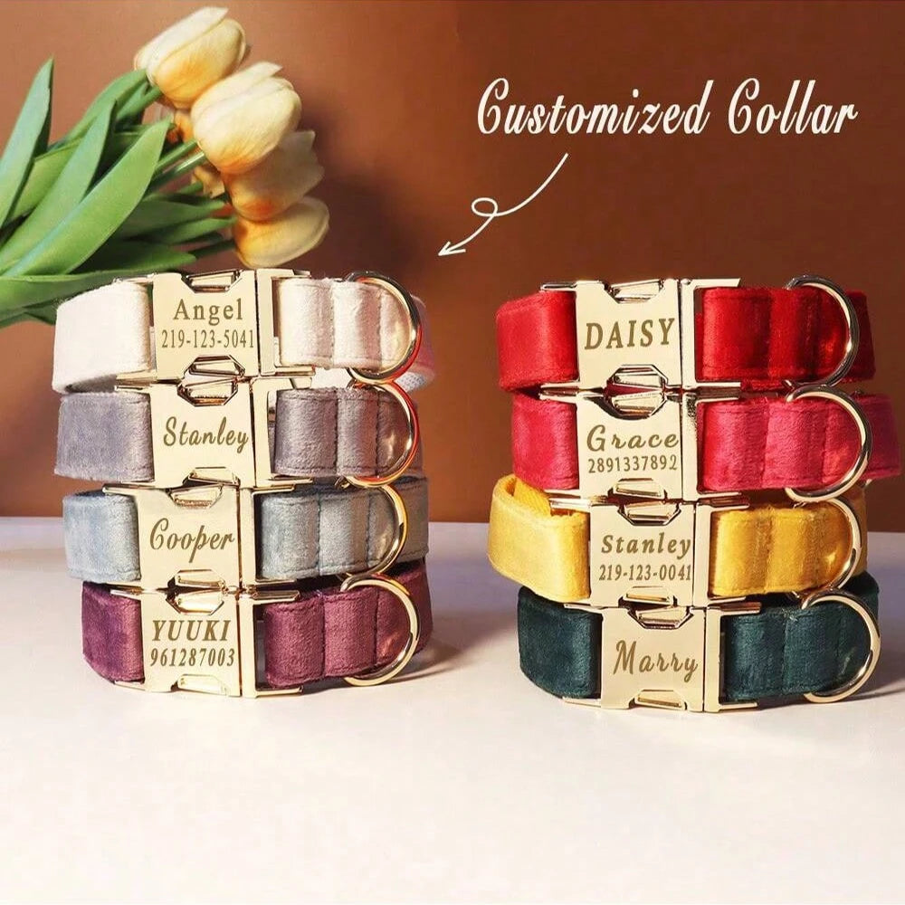 Velvet Personalized Dog Collar with Engraved Name Plate