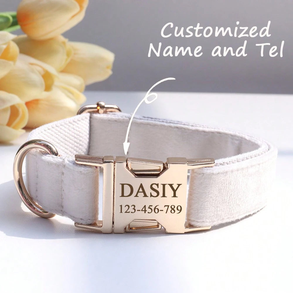 Velvet Personalized Dog Collar with Engraved Name Plate