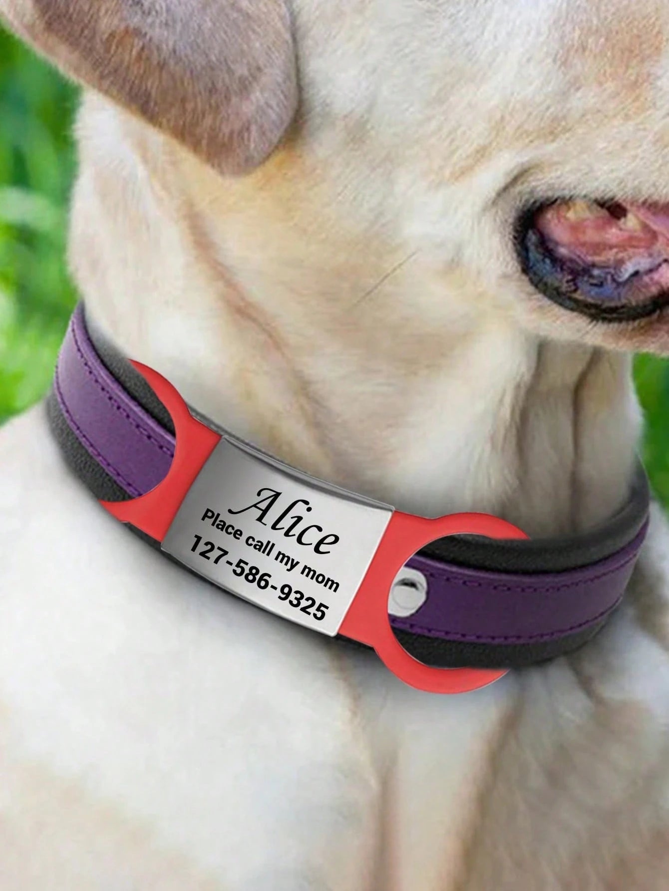 Personalized Custom Dog Tag for Pets