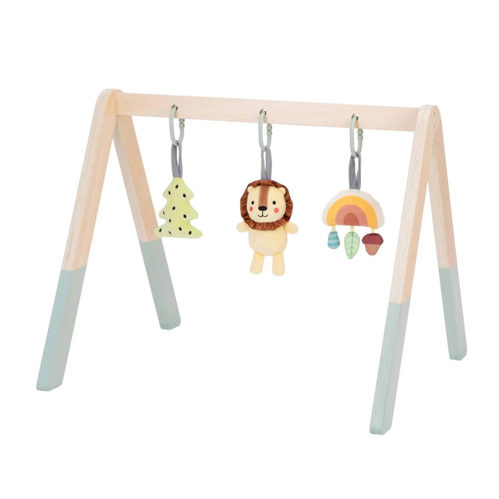 Tooky Toy - Baby Gym