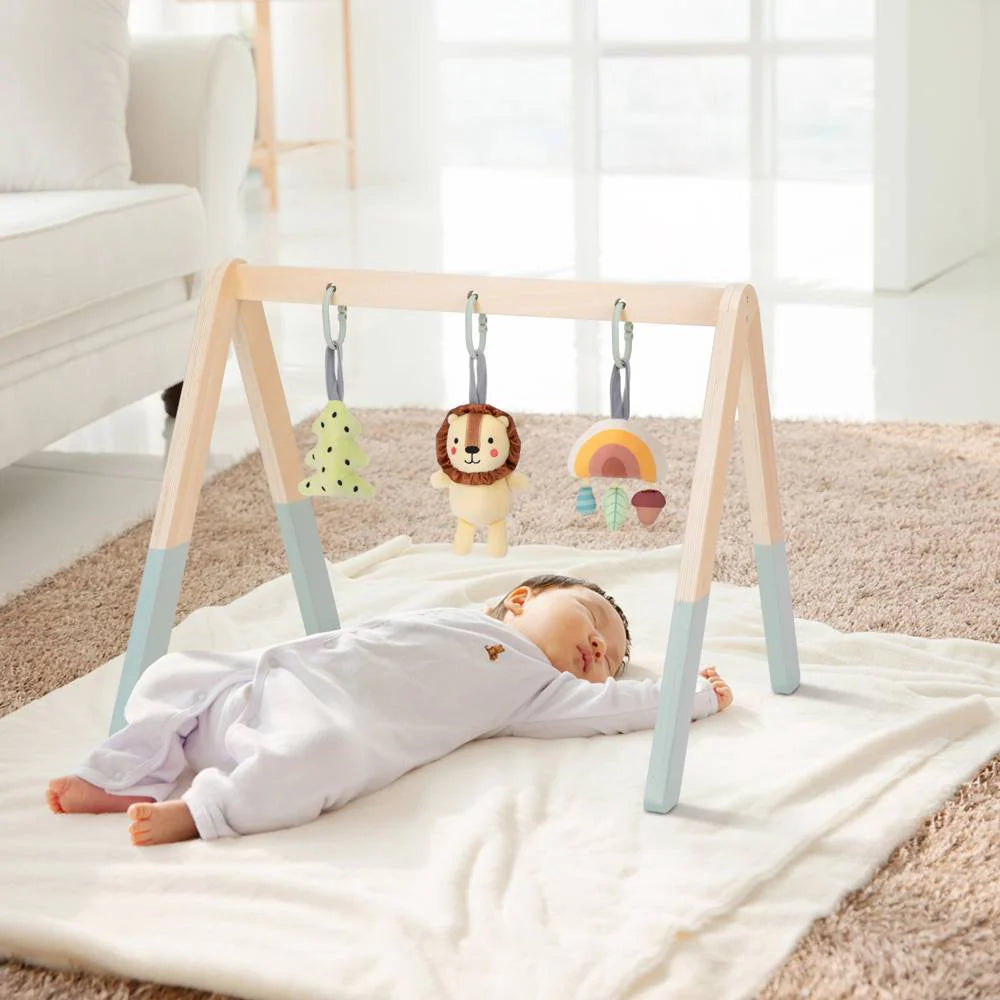 Tooky Toy - Baby Gym