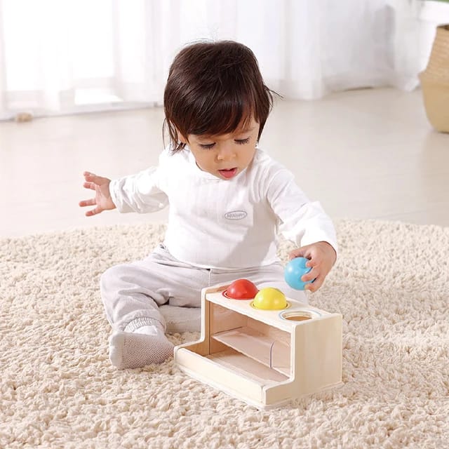 Tooky Toy - Wooden Montessori Play Box 11-12 Months