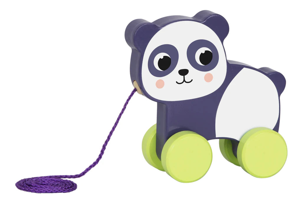 Tooky Toy - Hi Pando Pull Along Toys 24Pc Box