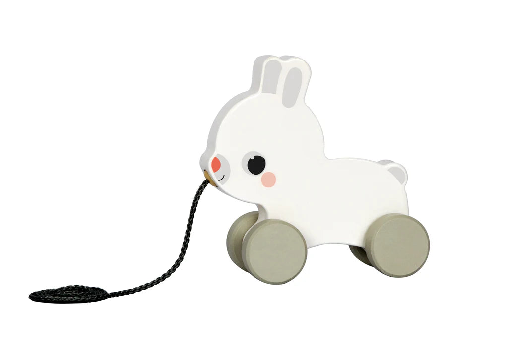 Tooky Toy - Hi Pando Pull Along Toys 24Pc Box